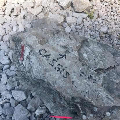 40424740_10214536478099856_6505273452113428480_n